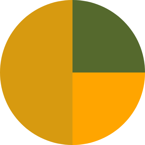 kaki_orange